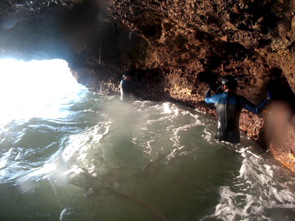 Coasteering Vinaròs. Atrévete a recorrer la Costa Nord