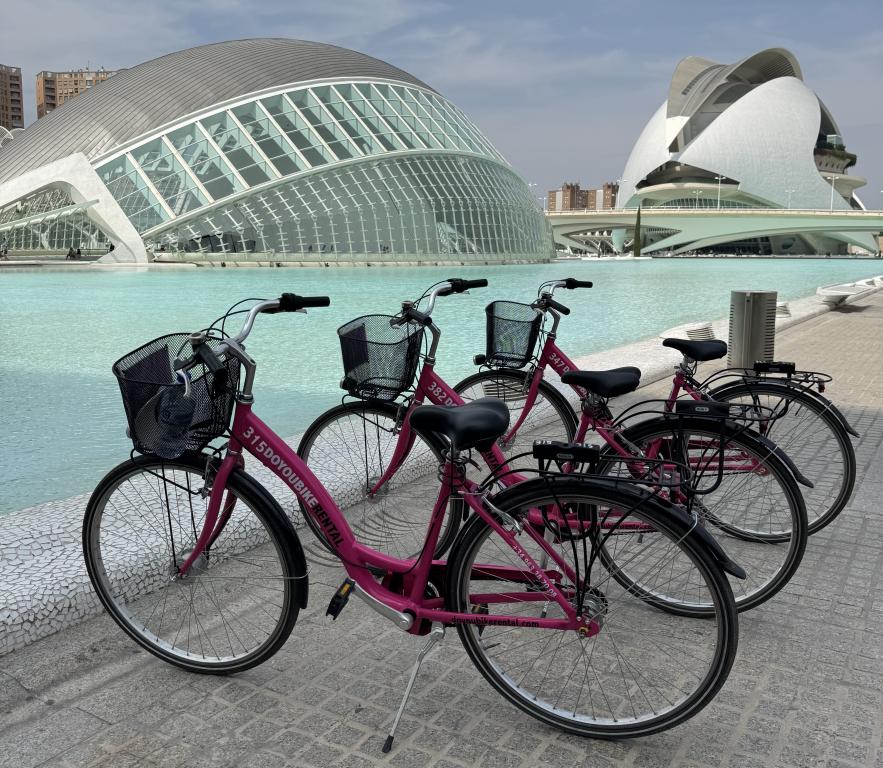 Tour Privado en Bicicleta por Valencia