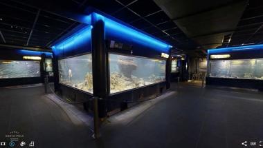 Acuario de Santa Pola