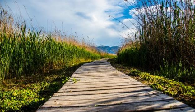 imagen parque natural